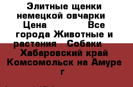 Элитные щенки немецкой овчарки › Цена ­ 30 000 - Все города Животные и растения » Собаки   . Хабаровский край,Комсомольск-на-Амуре г.
